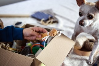 Merchants Lean into New Subscription Features to Regain Consumers