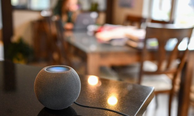 Thirty Percent of US Millennials Use a Voice Assistant to Pay Bills