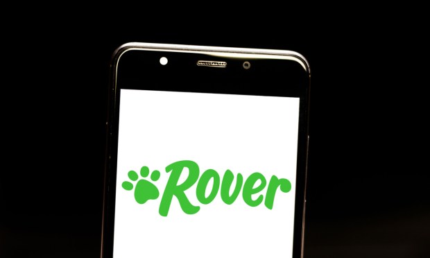 Blackstone Pays $2.3 Billion for Pet Care Brand Rover