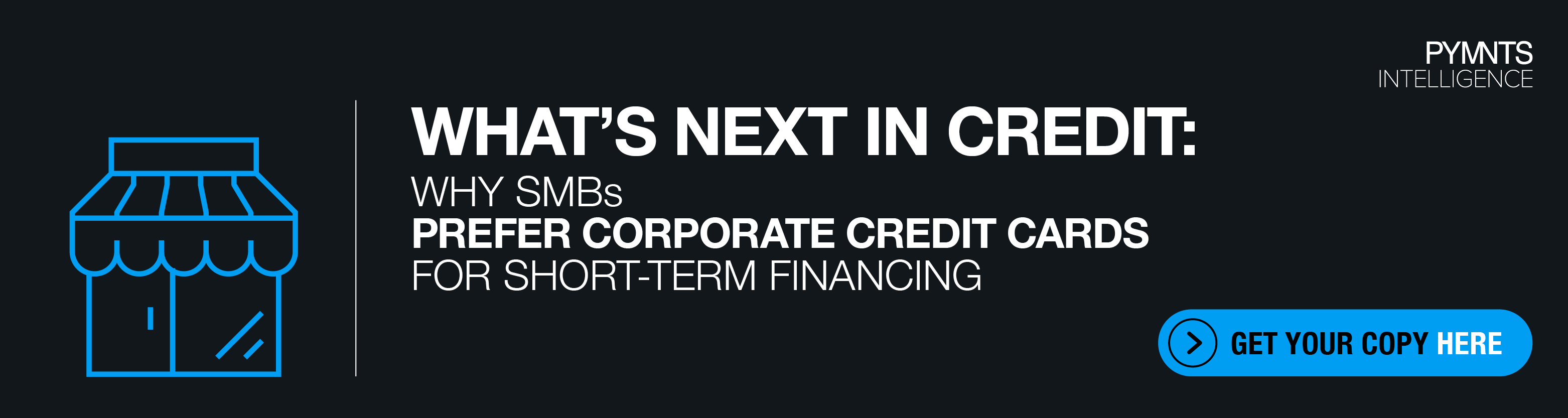 Cross River What's Next in Credit November 2023 Banner