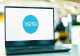 Xero, B2B payments