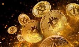 Data Shows Bitcoin ETFs Might Not Make Crypto as Popular as Enthusiasts Expect