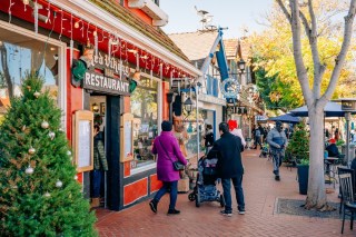 Young SMBs Can’t Find Enough Business Financing