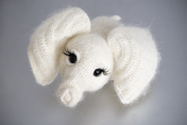 Is White Elephant Gift-Giving Still a Holiday Hit? 