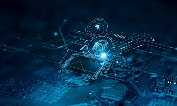 Mine Raises $30 Million to Expand Data Privacy Offering