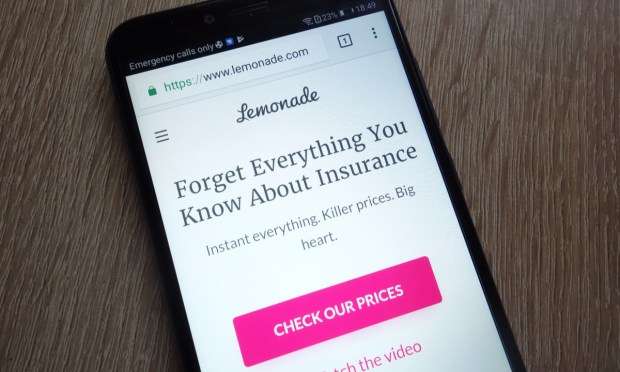 Lemonade Co-CEOs to Resume Previous Positions, Seeking Clarity of Structure