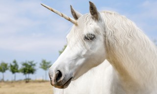 Nearly 90% of 2021’s Unicorns Are Now Valued Lower