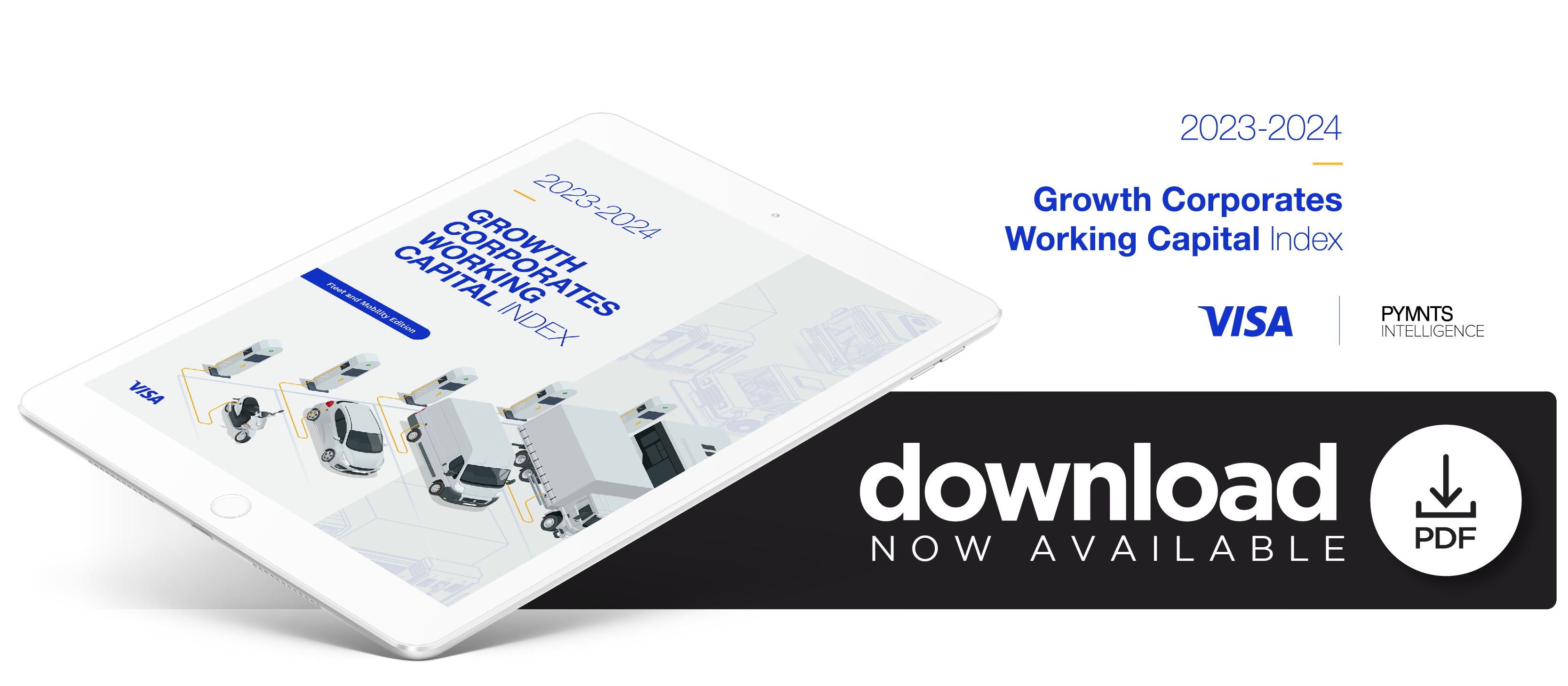 Fleet and mobility Growth Corporates worldwide plan to increase their use of external working capital solutions, with an expected 17% uptick in users in 2024.