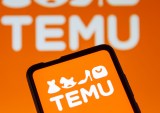 Temu Ad Spend Places It Among Largest Online Advertisers in US