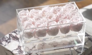 Venus et Fleur Pitches Flowers as Valentine’s Day Investments 