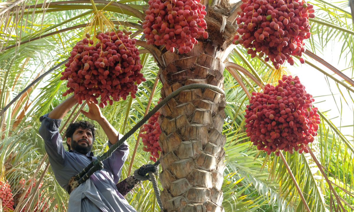 Maalexi Raises $3 Million to Facilitate Cross-Border Trade for Agribusinesses