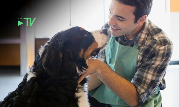 Synchrony Lets Pet Parents Put Doggie Daycare and Grooming on Payments Plans