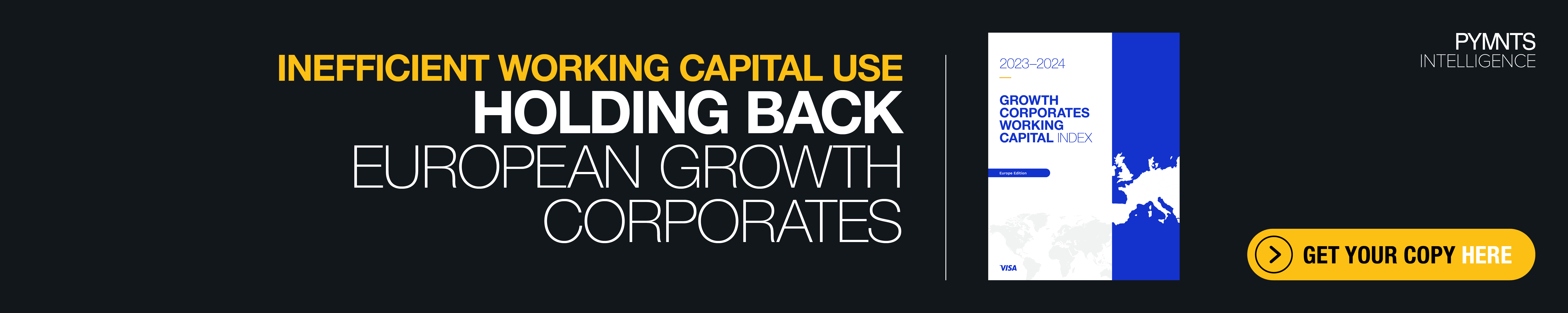 Visa Growth Corporates Working Capital Index Europe Edition February 2024 Banner