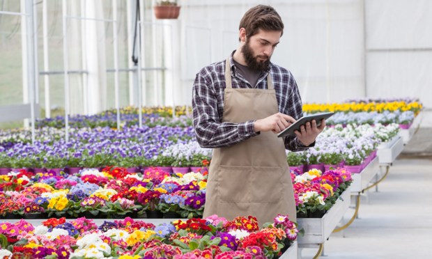 Inflation Concerns Sideline Small Business Borrowing