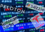 CE 100 Index Slips 3.5%, Led by Tesla and Peloton