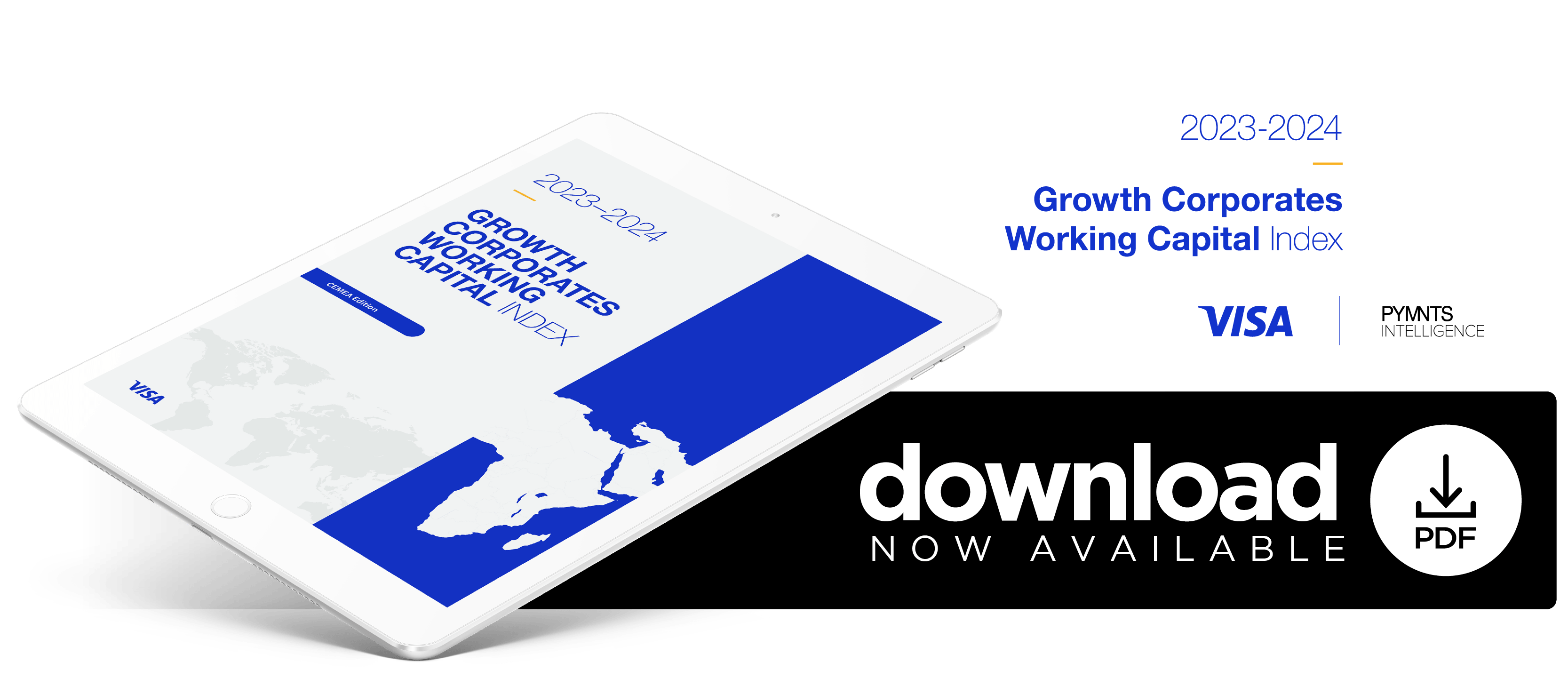 CEMEA Growth Corporates are expected to increase their use of working capital solutions, increasing from 58% to 95%.