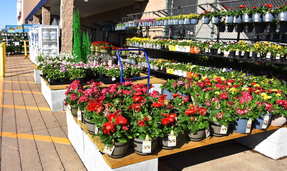 Shipt Sees Financial Pressure Driving Online Seasonal Sales