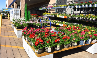 Shipt Sees Financial Pressure Driving Online Seasonal Sales