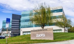 Report: Zuora Considering Sale After Potential Acquirers Express Interest