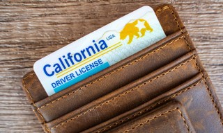States Embrace Mobile Driver’s Licenses to Fight Fraud Amid Privacy Scrutiny