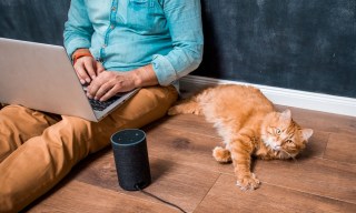 Waiting for Alexa: When Will Amazon Strike Up the AI Conversation?