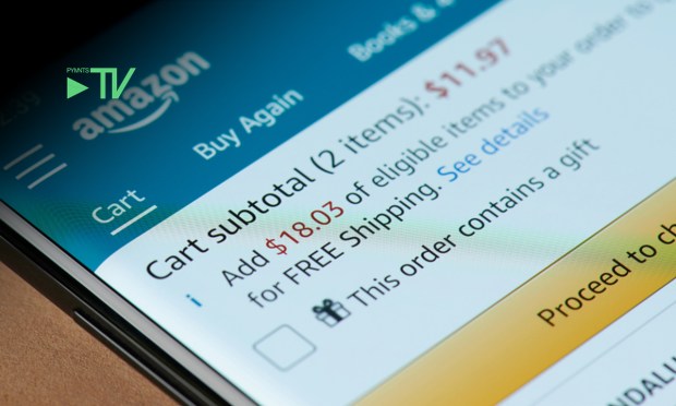 Exclusive: Amazon Canada Taps Visa for Installment Plans