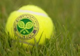 AI Takes Center Stage in Combating Online Abuse From Wimbledon to Main Street