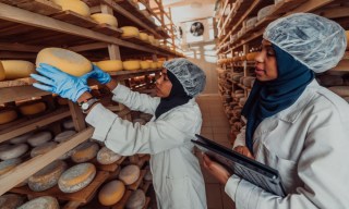 Mamo Raises $4.3 Million for UAE Small Business Financing
