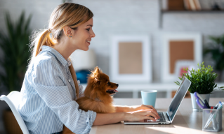 Pawstruck CEO: Summer Deals Events Present Make-or-Break Acquisition Opportunity