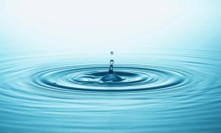 Firms Look to Mitigate Consequences From Data Breaches
