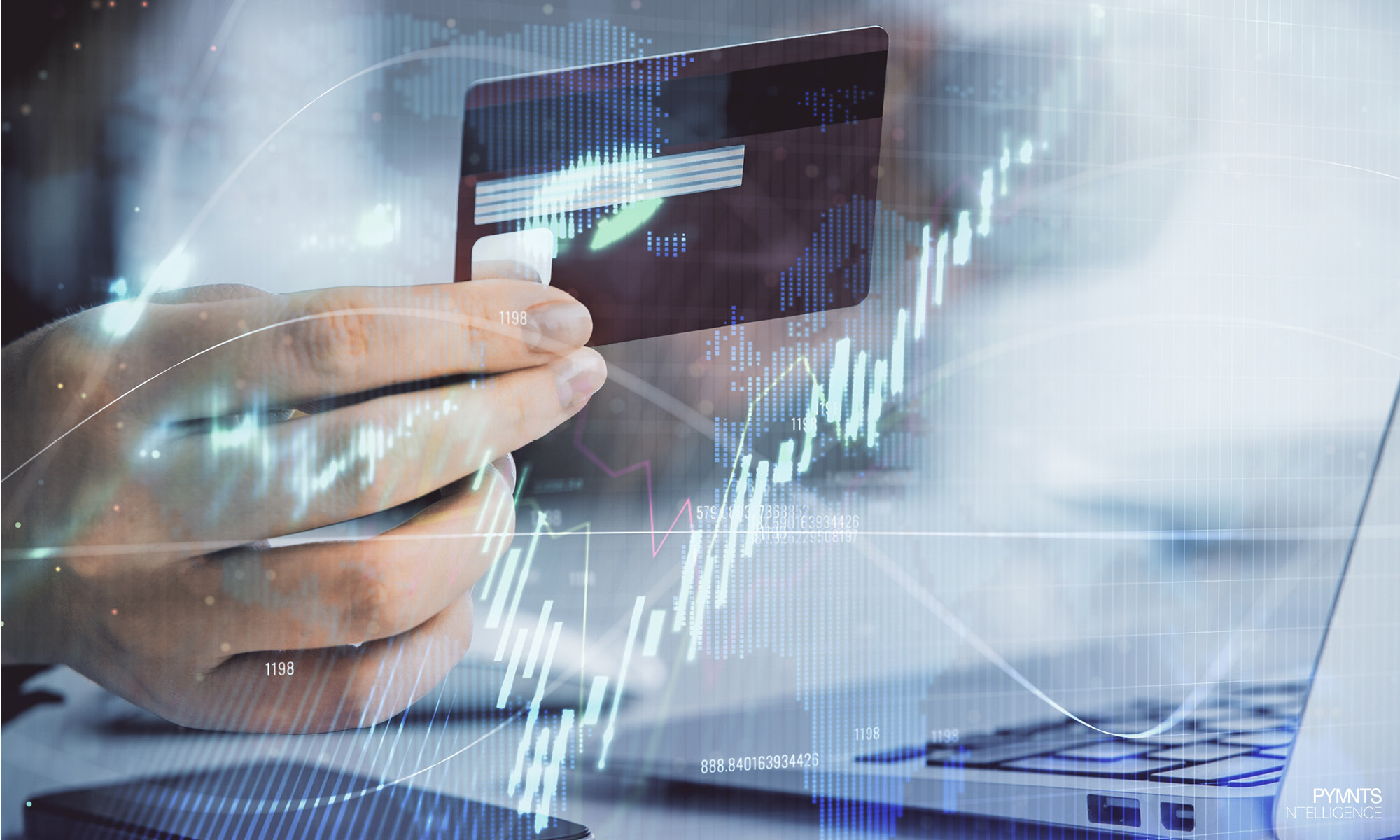 Credit users fit lenders’ profile of the ideal customer: individuals who revolve balances and pay more than the minimum each month.