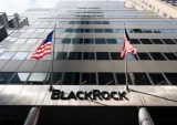 Report: BlackRock to Auction Off Amazon Aggregator SellerX