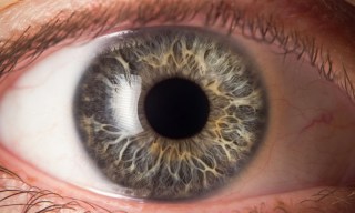 Worldcoin’s Iris-Scanning Tech Faces Global Pushback