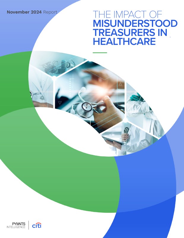 The Impact of Misunderstood Treasurers in Healthcare - November 2024