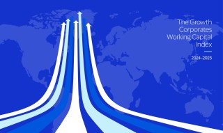 The 2024-2025 Growth Corporates Working Capital Index: 1,297 CFOs in 23 Countries Reveal Their Strategies