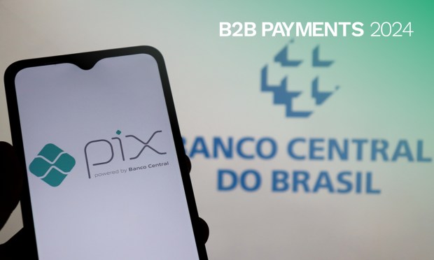 Instant B2B Payment Solutions Find Traction in Emerging Markets