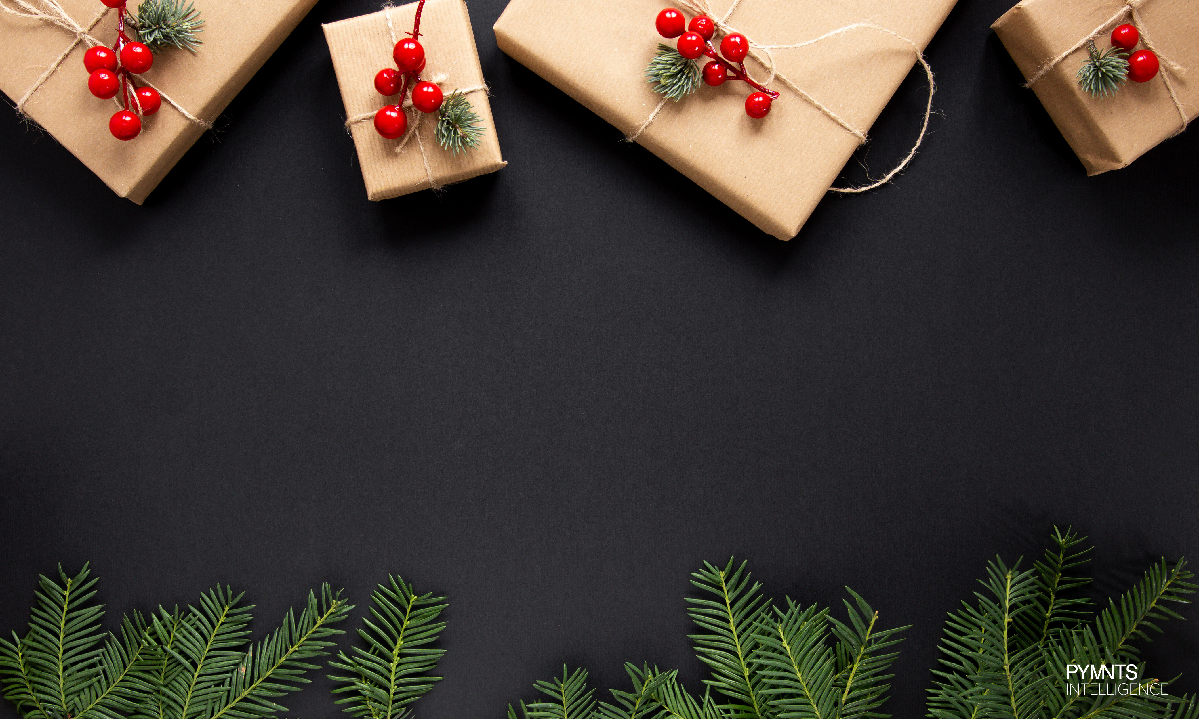 Pay later plans offer consumers flexibility they highly value, and many plan to use pay later solutions for their holiday shopping this year.