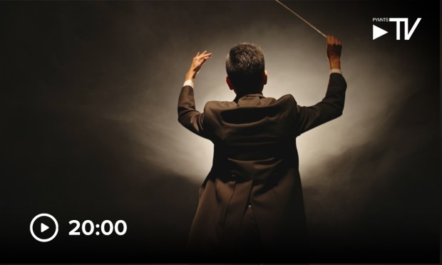 Visa: Data Orchestration Will Boost Embedded Finance Adoption Globally