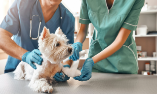 Bond Vet Turns to Coupa for AI-Powered Spend Management
