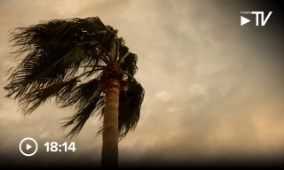 Innovation Powers Disaster Recovery as Insurers Move Claims and Payout Digital
