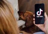 TikTok Makes AI-Powered Video-Generation Tool Available to All Advertisers