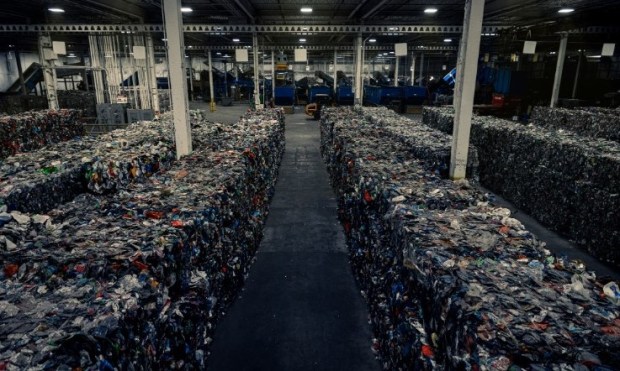 AI Takes Out the Trash as Recycling Goes High-Tech  