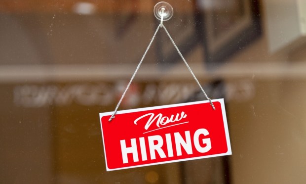 Job Openings Declined in February, Showing Labor Market ‘Gradually Cooling’