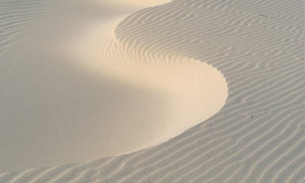 95% of Middle-Market CFOs Say They’re Unprepared for Future Regulatory Shifts