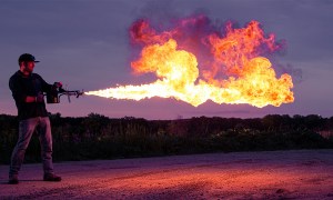 b2b payments treasury