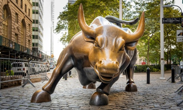 Analysts Urge Caution With IPO Investors ‘Scrutinizing Deals Carefully’