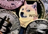 Making Sense of Meme Coins, Digital Assets and Crypto’s Future