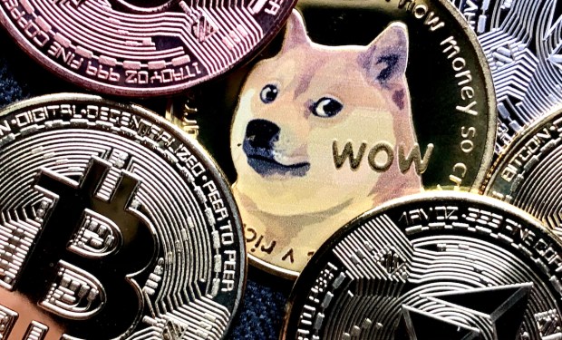 Making Sense of Meme Coins, Digital Assets and Crypto’s Future