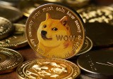 crypto doge token