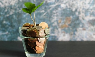 Report: Perplexity Creating $50 Million Venture Fund for AI Startups